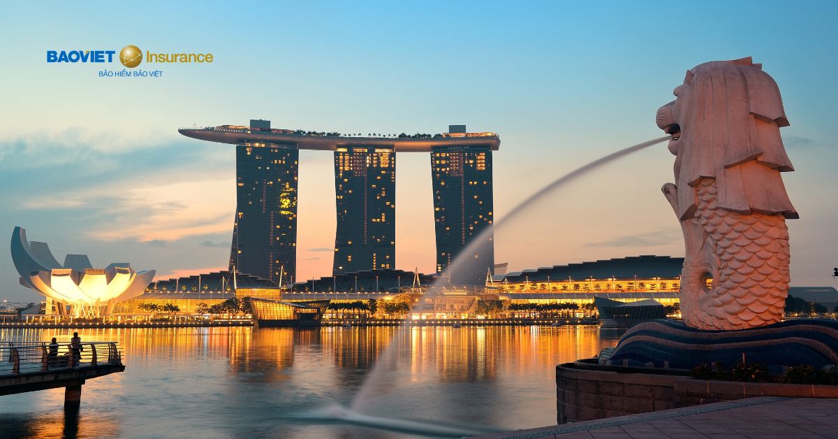 Bảo hiểm du lịch Singapore - Bảo Việt Gia Định